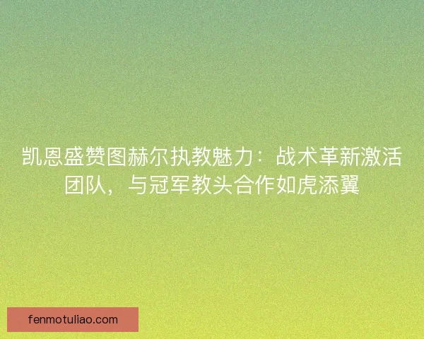 凯恩盛赞图赫尔执教魅力：战术革新激活团队，与冠军教头合作如虎添翼
