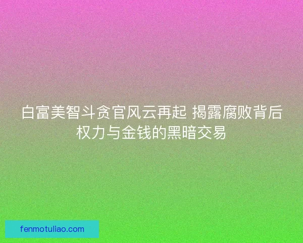 白富美智斗贪官风云再起 揭露腐败背后权力与金钱的黑暗交易