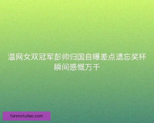 温网女双冠军彭帅归国自曝差点遗忘奖杯瞬间感慨万千