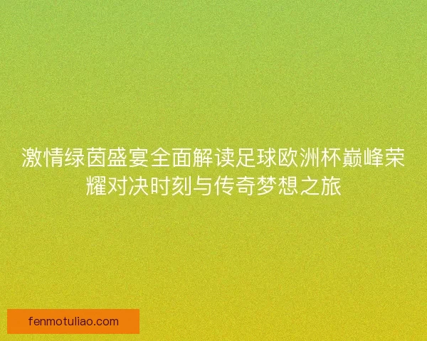 激情绿茵盛宴全面解读足球欧洲杯巅峰荣耀对决时刻与传奇梦想之旅