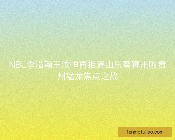 NBL李泓翰王汝恒再相遇山东蜜獾击败贵州猛龙焦点之战
